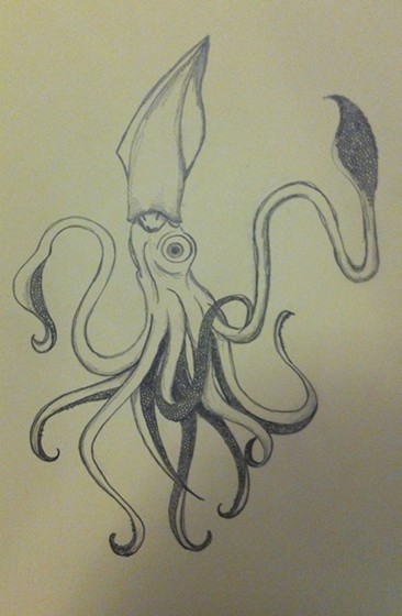Sketching: Squid