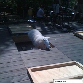 Puppetry: Winters Tale